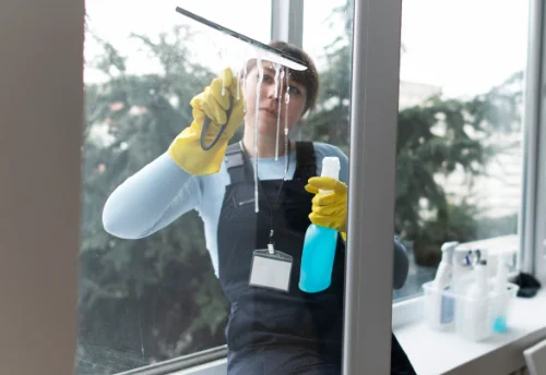 Nettoyage de vitres intérieures et extérieures à Château-Larcher